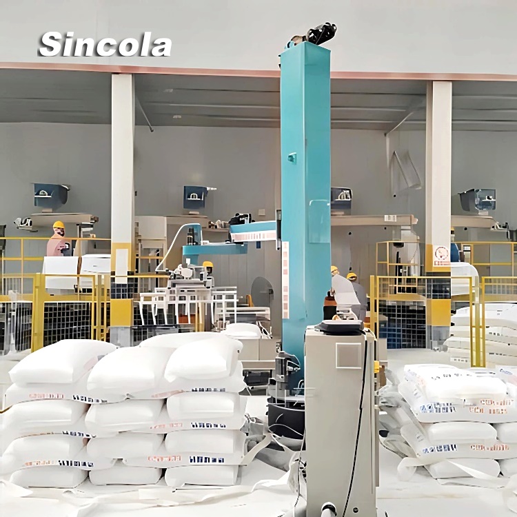 Automated Mortar Valve Bag Palletizing Machine: Enhancing Efficiency and Quality - News - 2