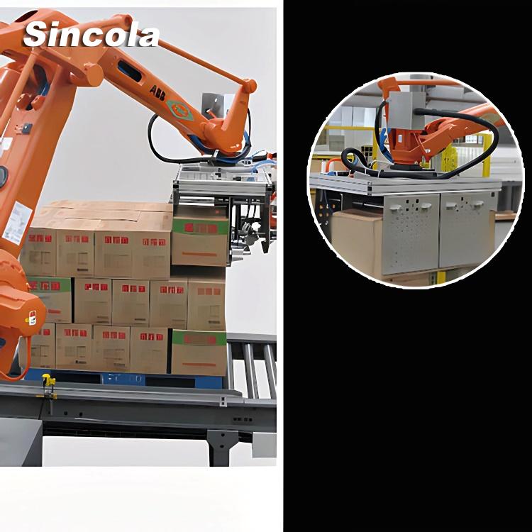 Carton robot palletizer