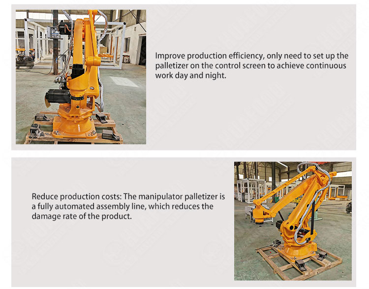 Carton robot palletizer - Palletizing robot - 2